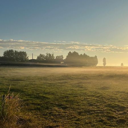 Vila Kamille Middelkerke Exteriér fotografie